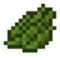 cactus_green.png